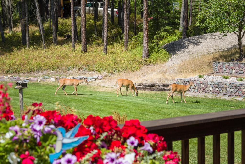 Meadow Lake View Bed And Breakfast Кълъмбия Фолс Екстериор снимка